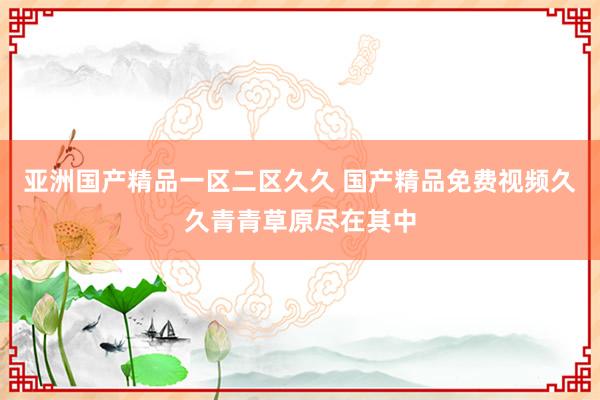 亚洲国产精品一区二区久久 国产精品免费视频久久青青草原尽在其中