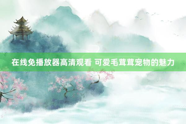 在线免播放器高清观看 可爱毛茸茸宠物的魅力