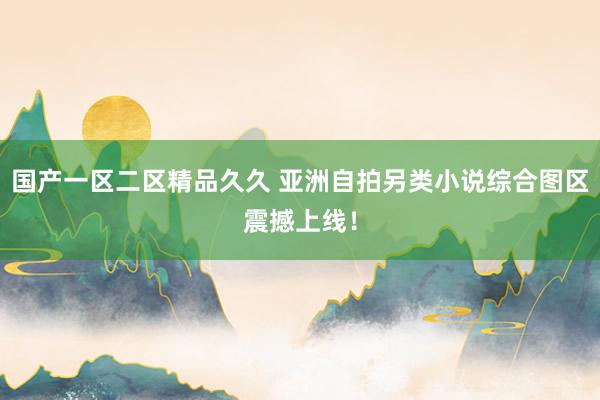 国产一区二区精品久久 亚洲自拍另类小说综合图区震撼上线！