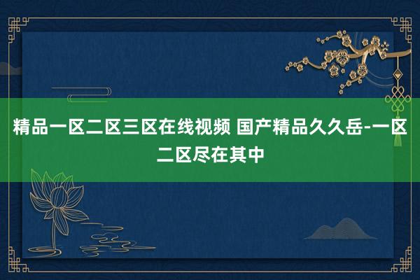 精品一区二区三区在线视频 国产精品久久岳-一区二区尽在其中