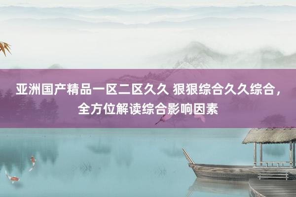 亚洲国产精品一区二区久久 狠狠综合久久综合，全方位解读综合影响因素