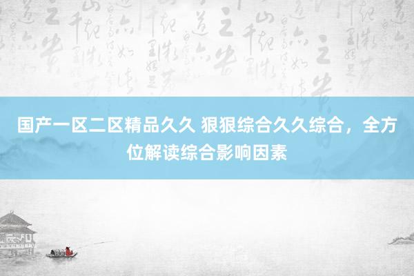 国产一区二区精品久久 狠狠综合久久综合，全方位解读综合影响因素