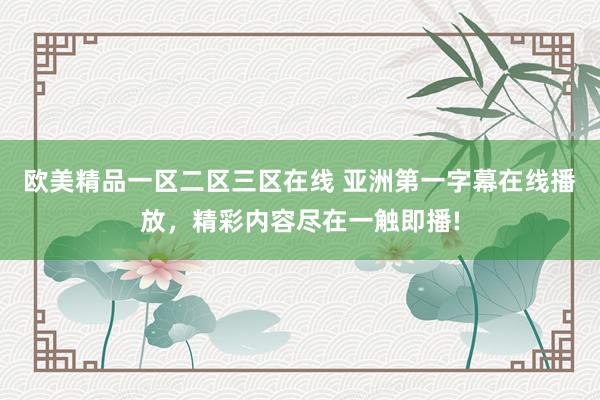 欧美精品一区二区三区在线 亚洲第一字幕在线播放，精彩内容尽在一触即播!