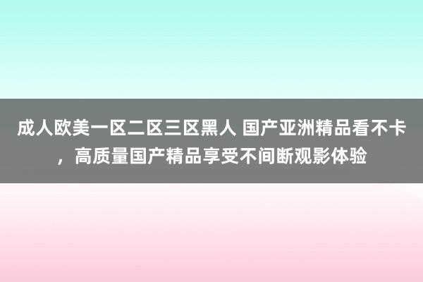 成人欧美一区二区三区黑人 国产亚洲精品看不卡，高质量国产精品享受不间断观影体验