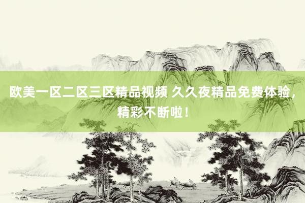 欧美一区二区三区精品视频 久久夜精品免费体验，精彩不断啦！