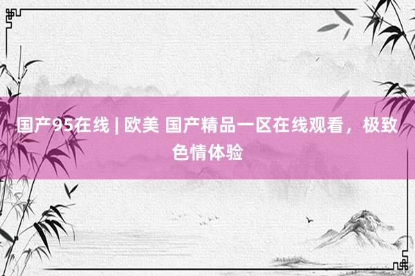 国产95在线 | 欧美 国产精品一区在线观看，极致色情体验