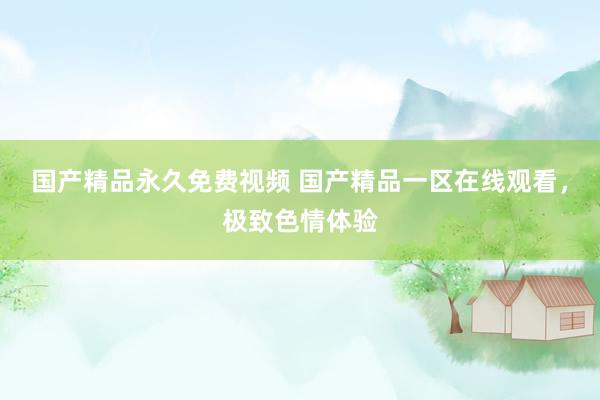 国产精品永久免费视频 国产精品一区在线观看，极致色情体验