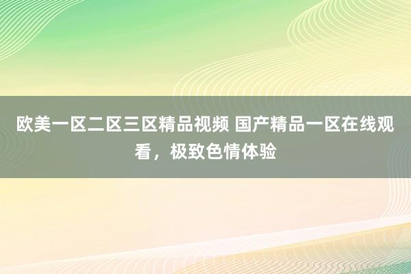 欧美一区二区三区精品视频 国产精品一区在线观看，极致色情体验